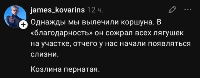 Картинки для деградации 257 (разной степени свежести)