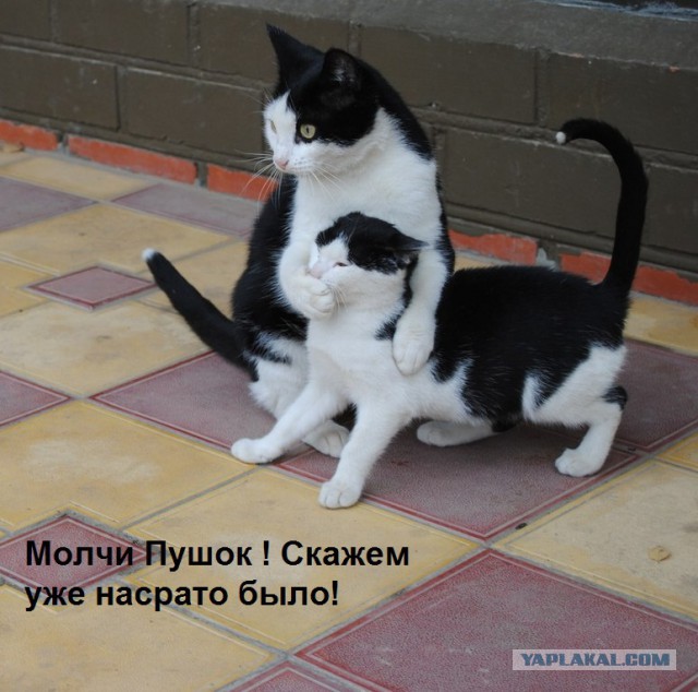 И кто это сделал?