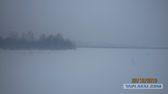 Пурговое