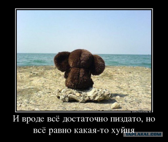 Подборка смешных картинок