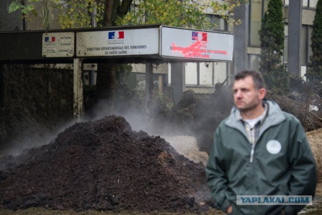 День протеста французских фермеров.