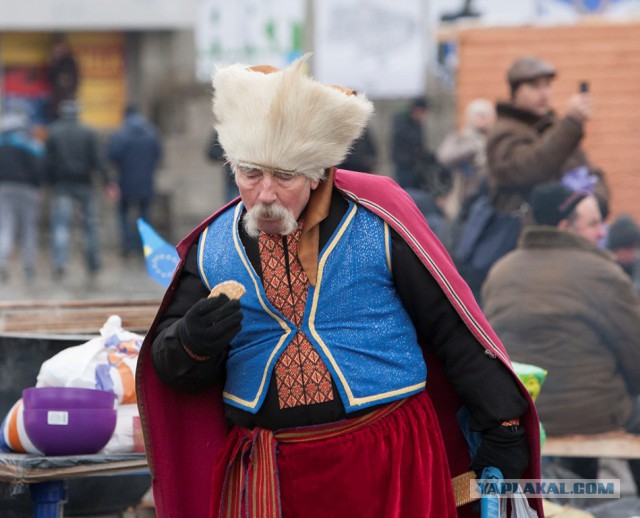 Это они выскакали десятки тысяч трупов