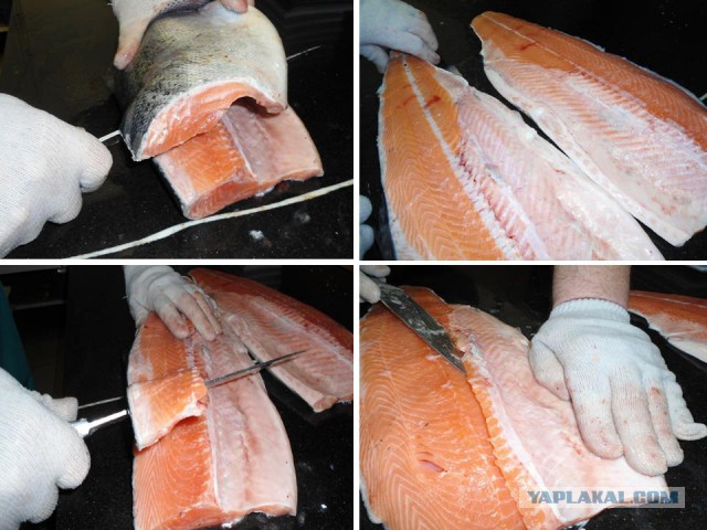 Гастрономическое путешествие мистера Andy, Кулинария для andy2308