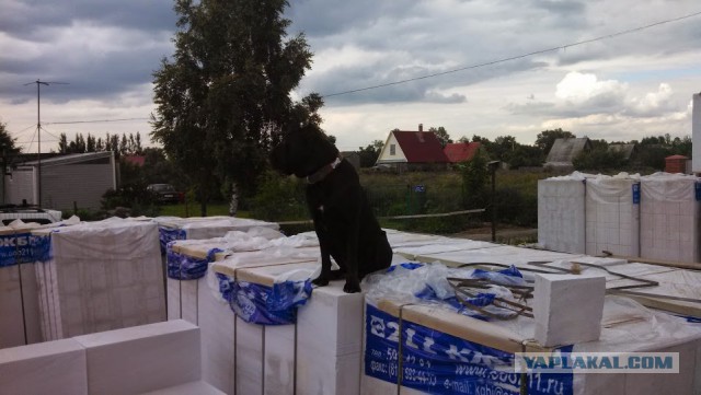 А вот моя домостройка