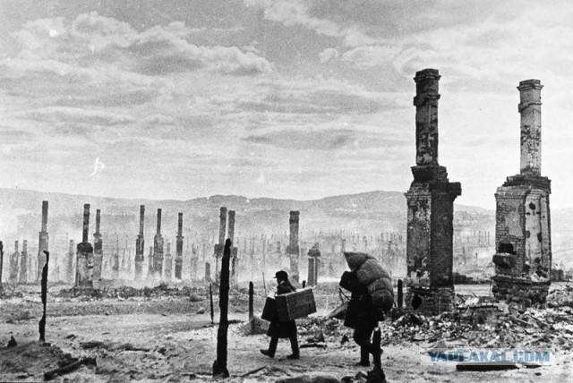 Опыт армий Рейха и СССР на 1941 год