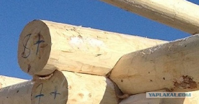 Баня из елки с диаметром 40-42 см. За 1 день.