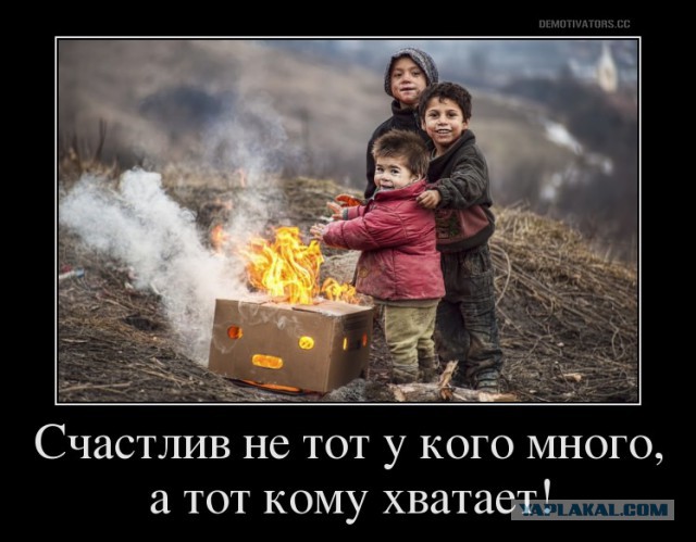 Подборка интересных и веселых картинок