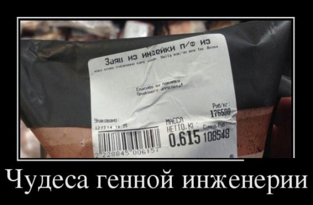 Картинки и приколы из сети