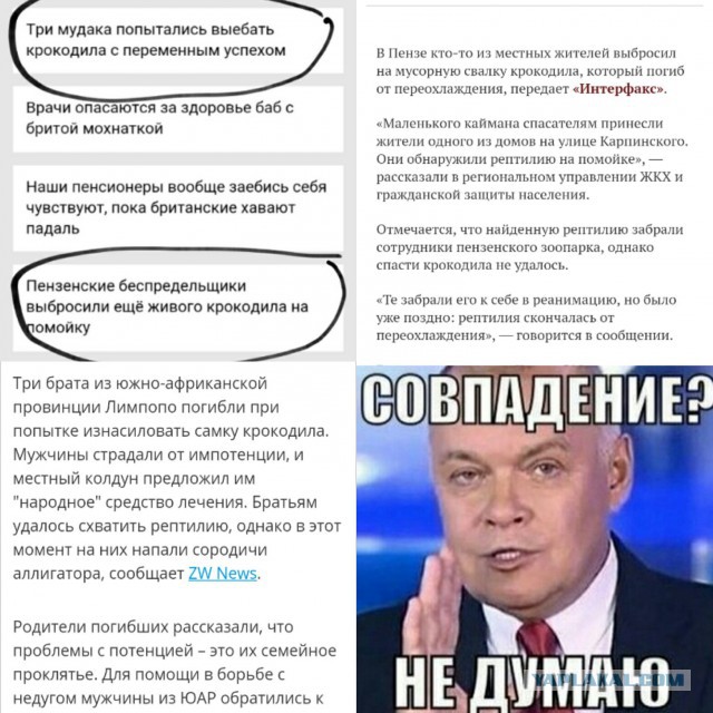 Трое братьев погибли при изнасиловании крокодила.