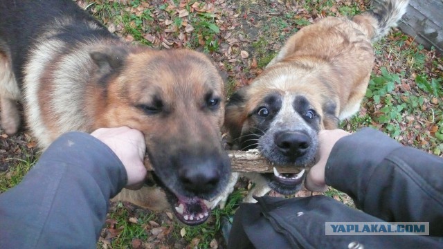 Как ты сделал эту фотку?
