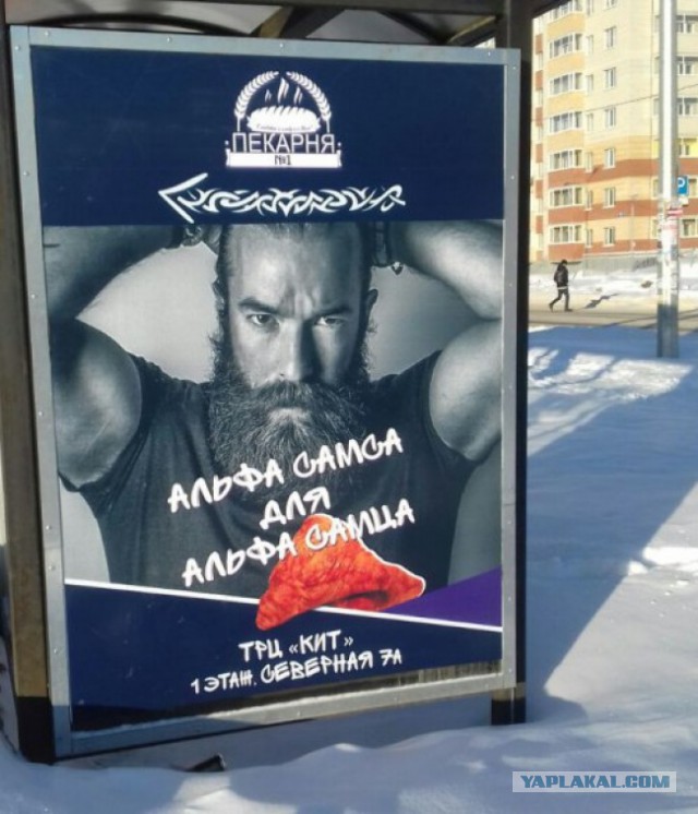 Подборка интересных и веселых картинок