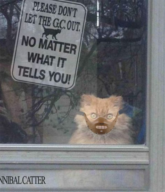 "Пожалуйста, не выпускайте кота, что бы он вам не говорил!"