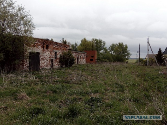 Один день из поездки по Северной Корее