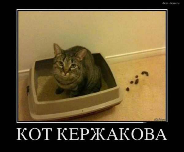 За говно ответишь!