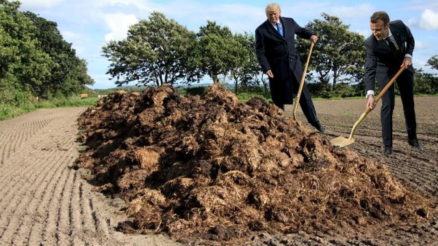 Сажающие дерево Трамп и Макрон превратились в мем