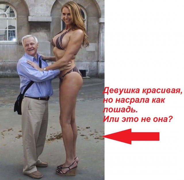 Прикольные картинки обо всем