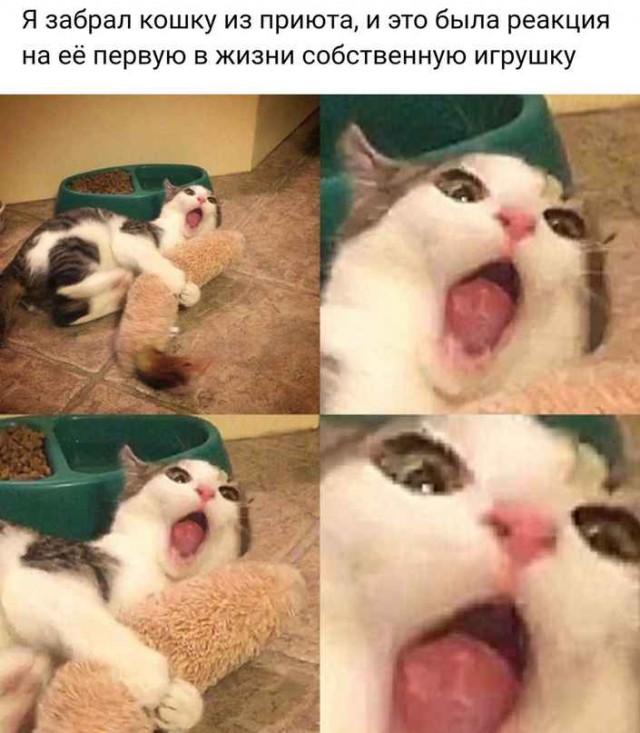 Нет времени ждать пятницу - деградируем здесь и сейчас