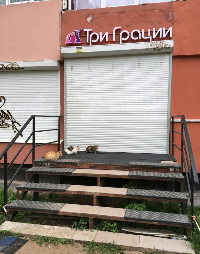 Всякие картинки