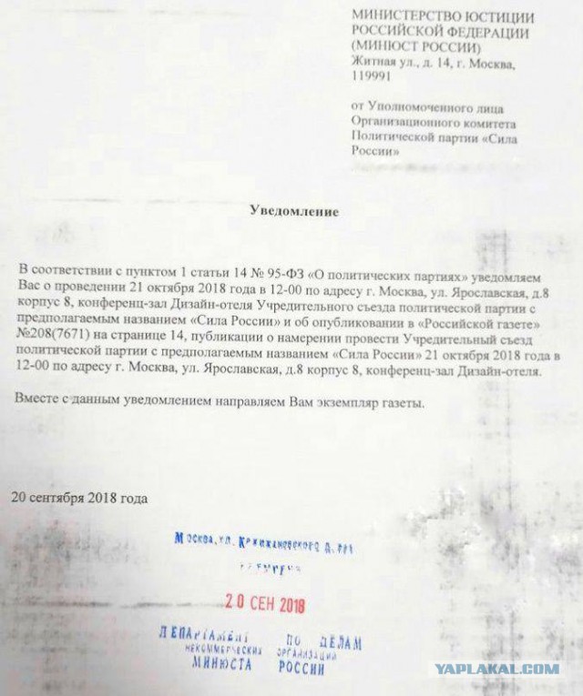 Наталья Поклонская возглавит новую партию власти