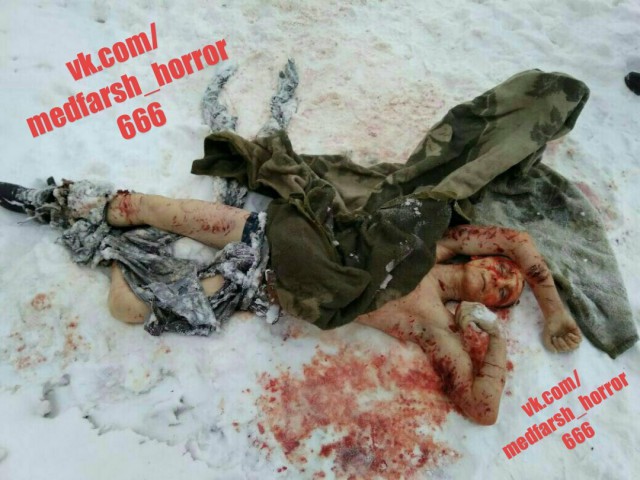 В Самаре стая бродячих собак напала на девушку, это увидели парни на машине и решили не проезжать мимо