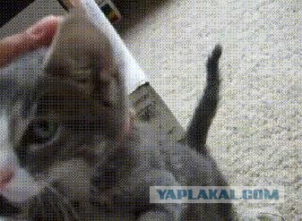 Он захотел сказать что-то очень важное