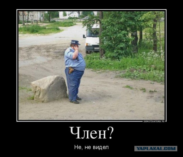 Смешные картинки