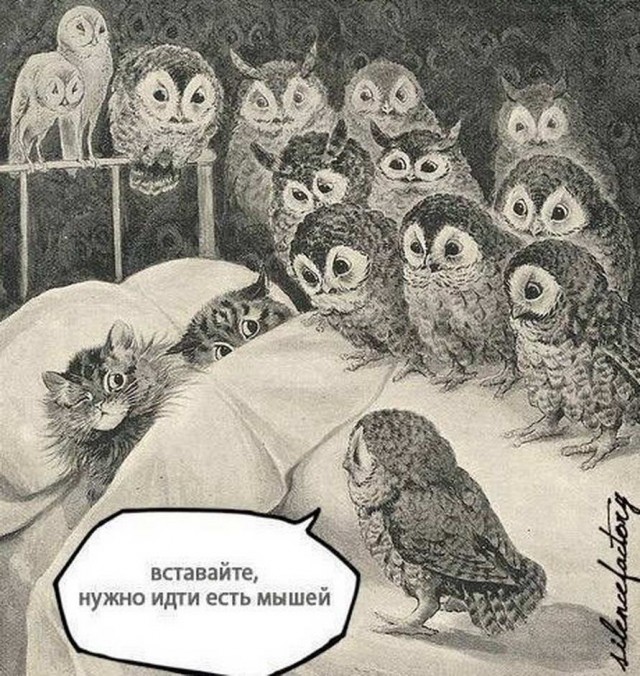 Чёрная мешанина