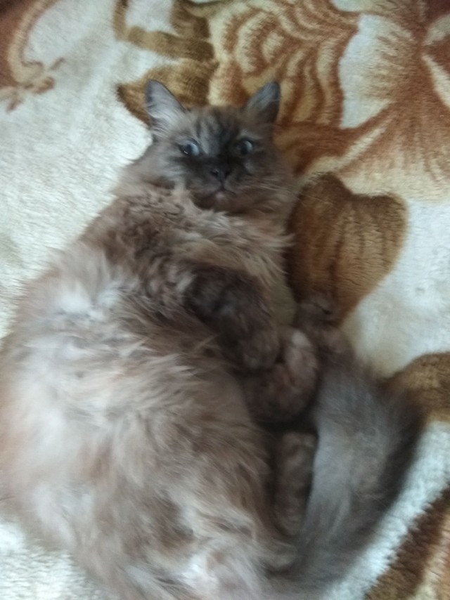 Почему хороших девочек не зовут замуж?