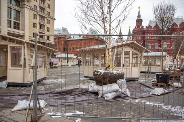 Прогулка по Москве, февраль