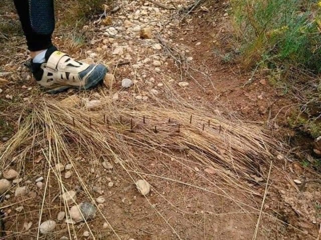 Добрые французы очень любят велосипедистов