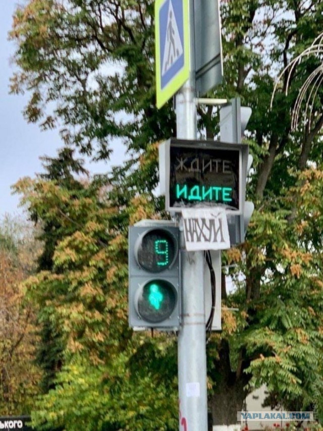 Бредзона 28.10.2020