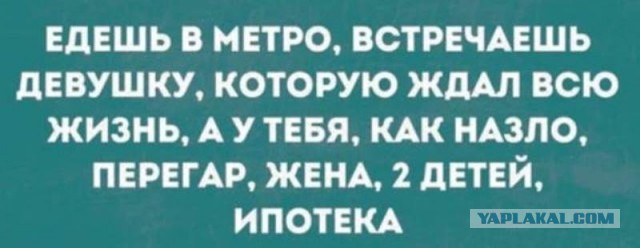 Немного картинок для настроения 12.11.20
