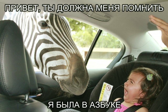 Бредзона 25.12.20