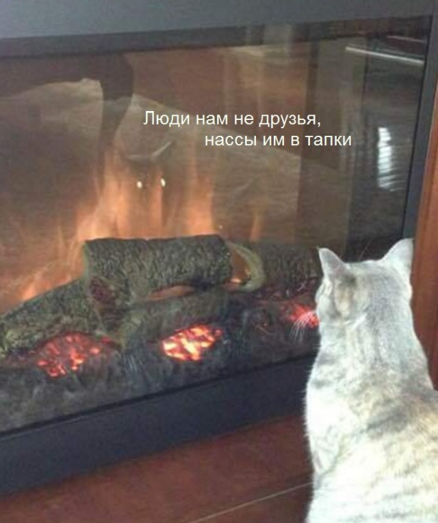Калейдоскоп картинок