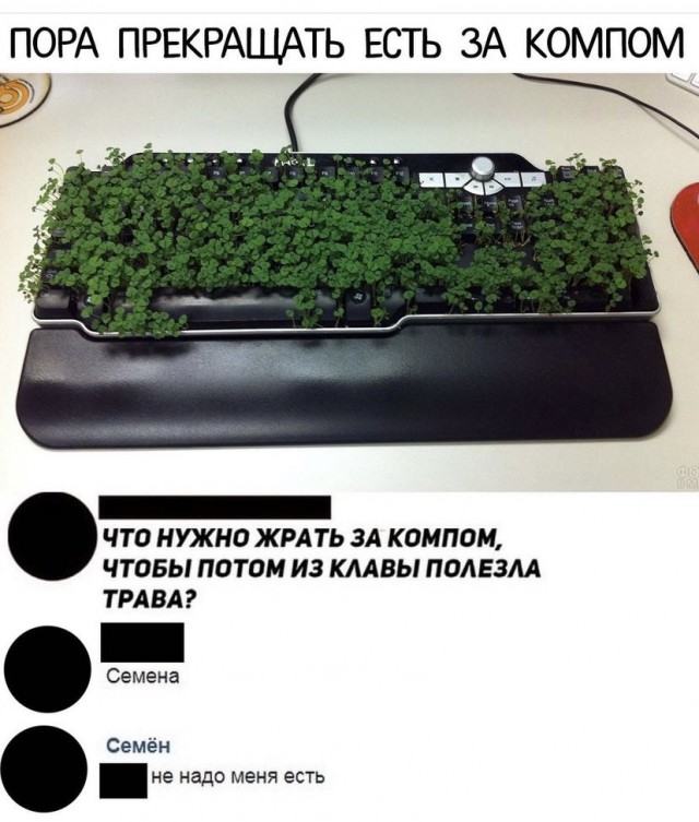 Картинки и мемы для настроения 001