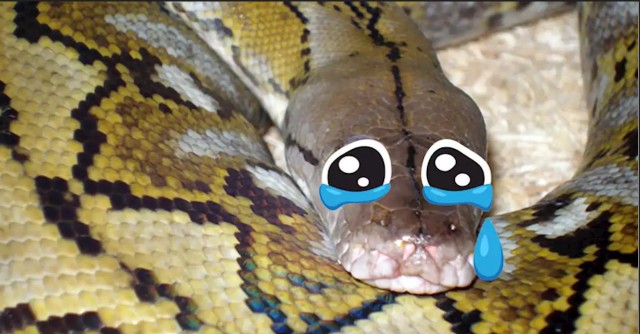 Житель Москвы 5 часов пытался снять кольцо со своего члена. Когда понял, что сам не справляется, то обратился к врачам