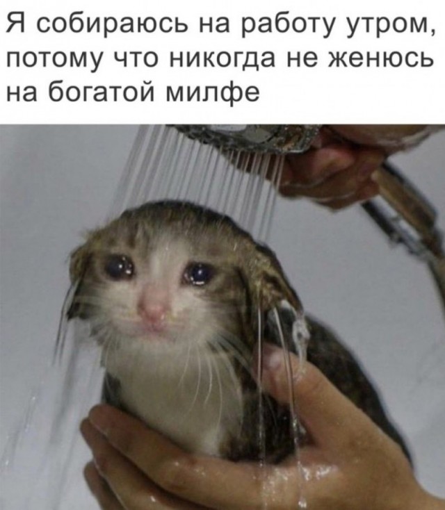 Что ждёт одиноких женщин за 35, которые продолжают перебирать мужчин