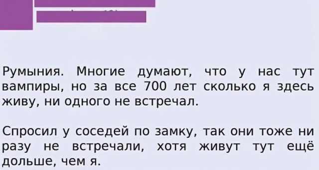 Весёлый полтишок 05.11