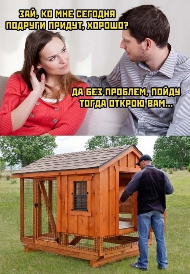 Картинки и мемы для настроения 22.11.2021