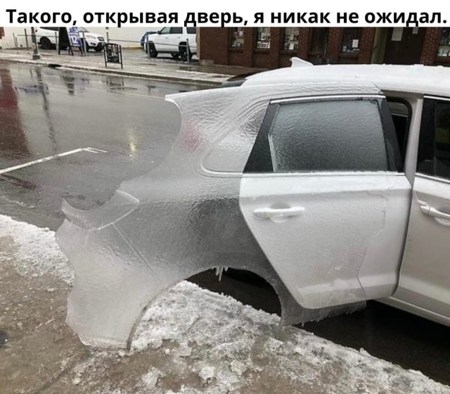 Чуток картинок 19.12.21