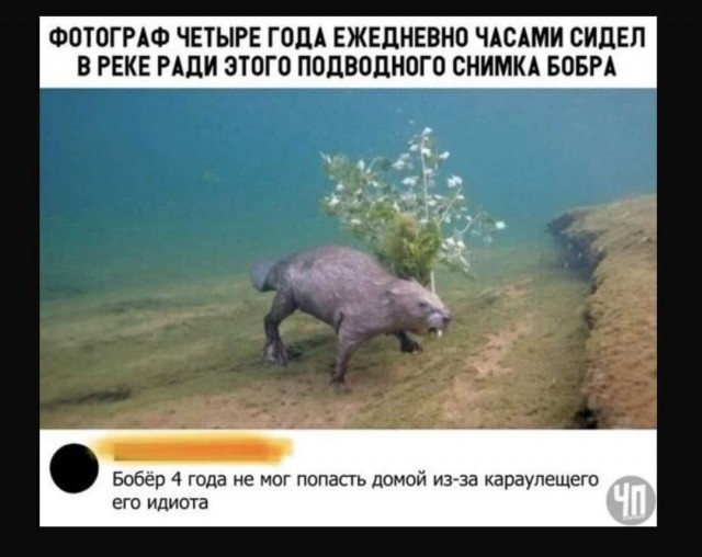 Подборка картинок всяческих 09.02.2022