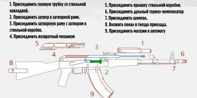19 важных, нужных и познавательных шпаргалок, которые могут пригодиться в жизни