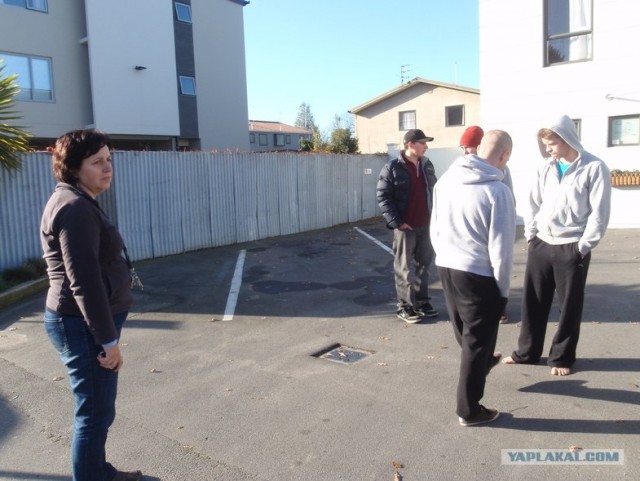 На машине по Новой Зеландии