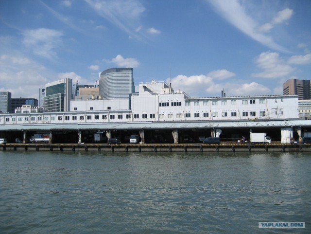 Далёкая Япония