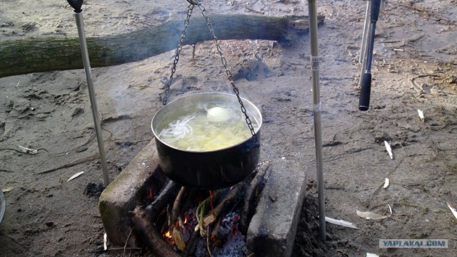 Учитесь ловить рыбу