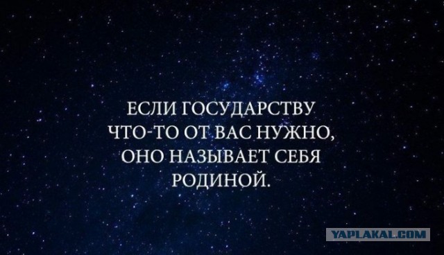 разница между Родиной и государством