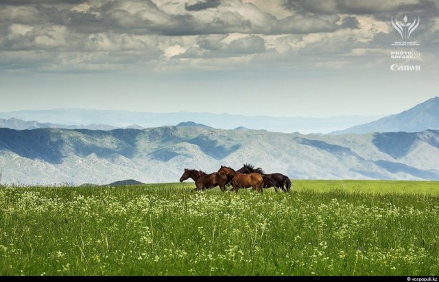 Неизвестный Казахстан