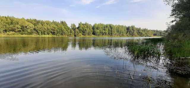 Поделимся красивыми фото с телефона?