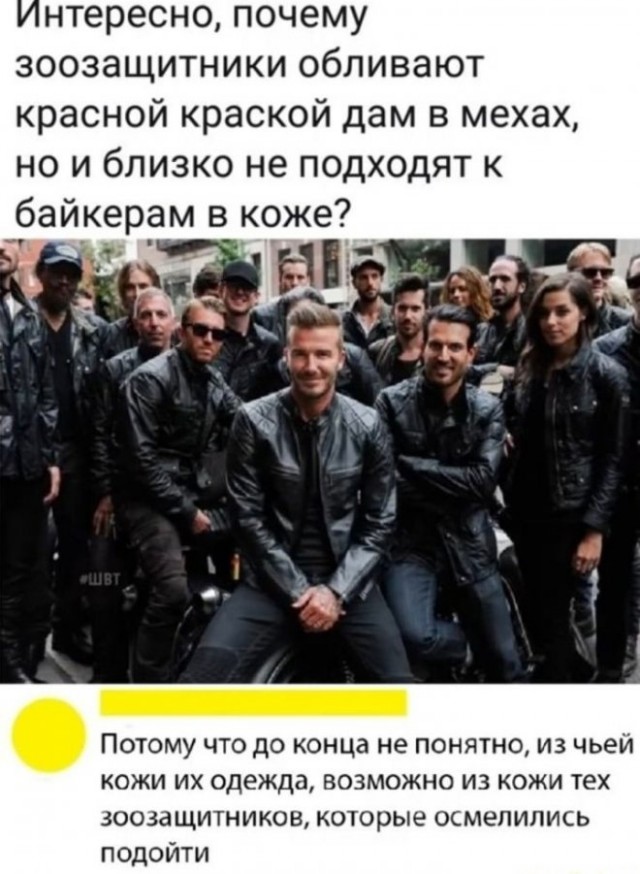Так себе картинки 17.11.22
