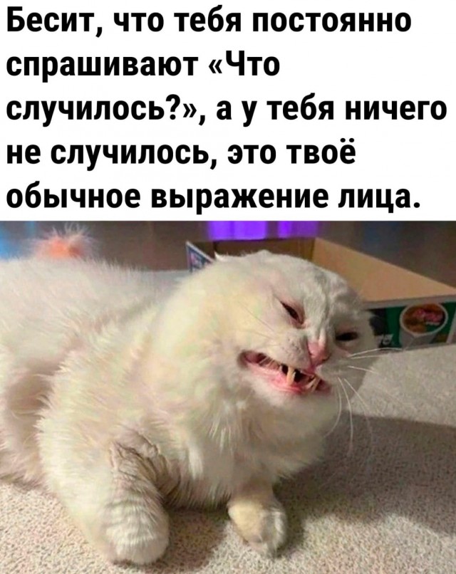 Картинки и мемы для настроения - 125